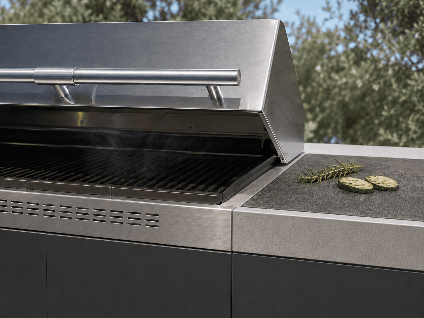 Module de cuisson et plan en inox marin brossé, cuisine d'extérieur
